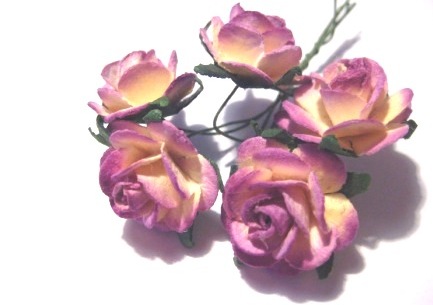 Rosor 20mm