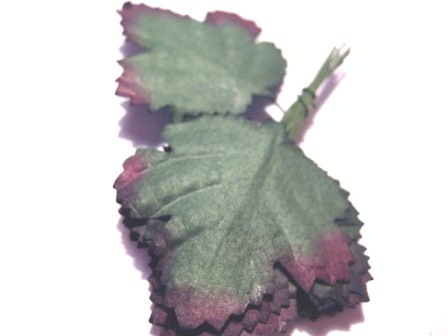 Blad & löv