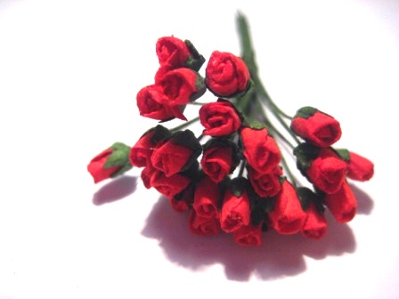 Blommor & Blad
