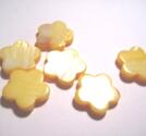 Snäckskalsblommor -gula