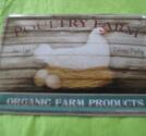 Plåtvykort , Poultry farm