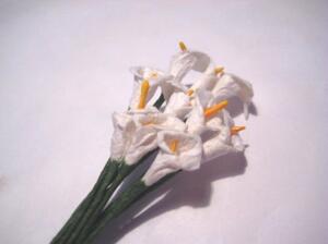 SCRAPBOOKING - Blommor & Blad - Blommor-Mullberry, Kallor -