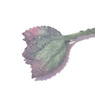 Rosblad ,  15mm