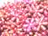 Akrylblommor - Rosa metallnyans - bild 1