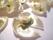 Blommor- Beiga rosor med rosett - bild 2