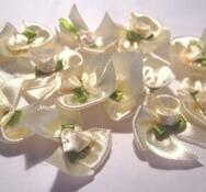 Blommor- Beiga rosor med rosett